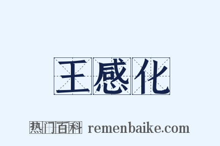 王感化是什么意思的图片